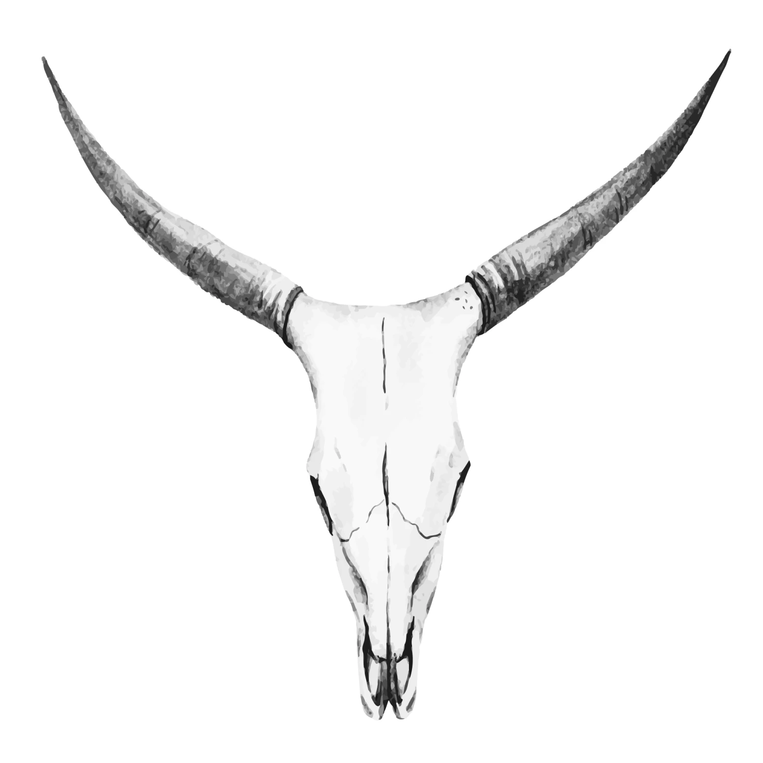 Bovine Beast Skull Wall Decal - Image 2