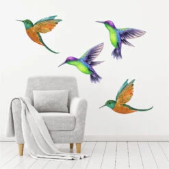 Humming Bird Wall Decal Set