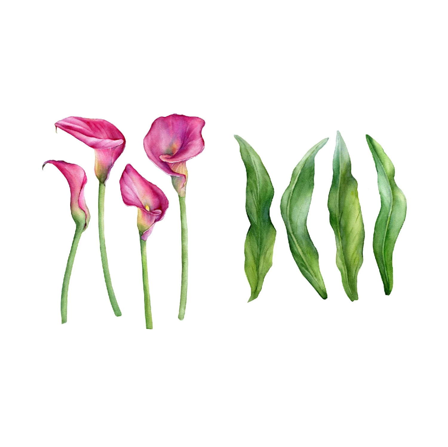 Sweet Lily Wall Decal Set - Image 2