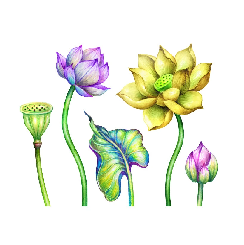 Fabulous Flower Wall Decals Set - Image 2