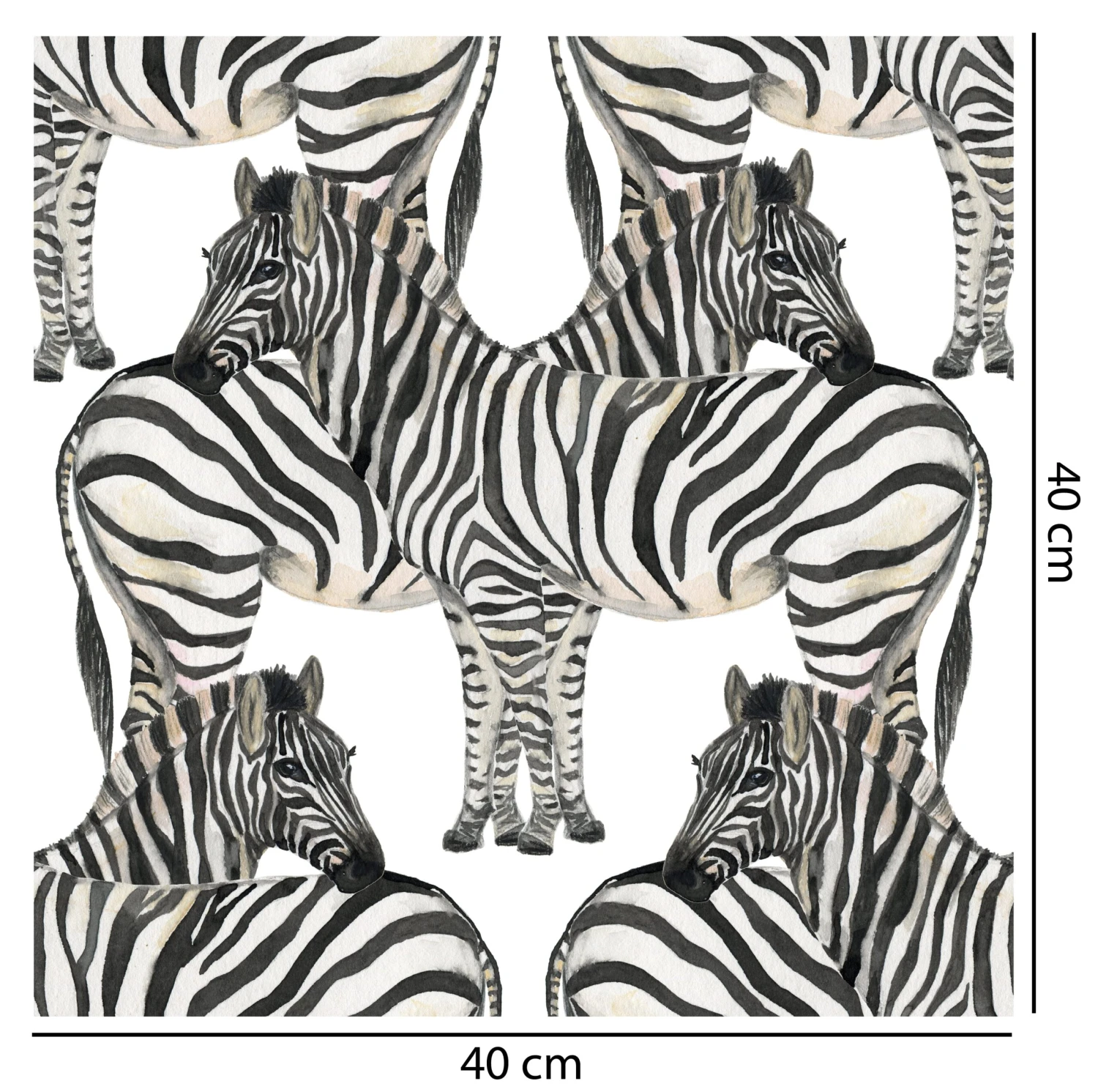 Zany Zebra Wallpaper - Image 2