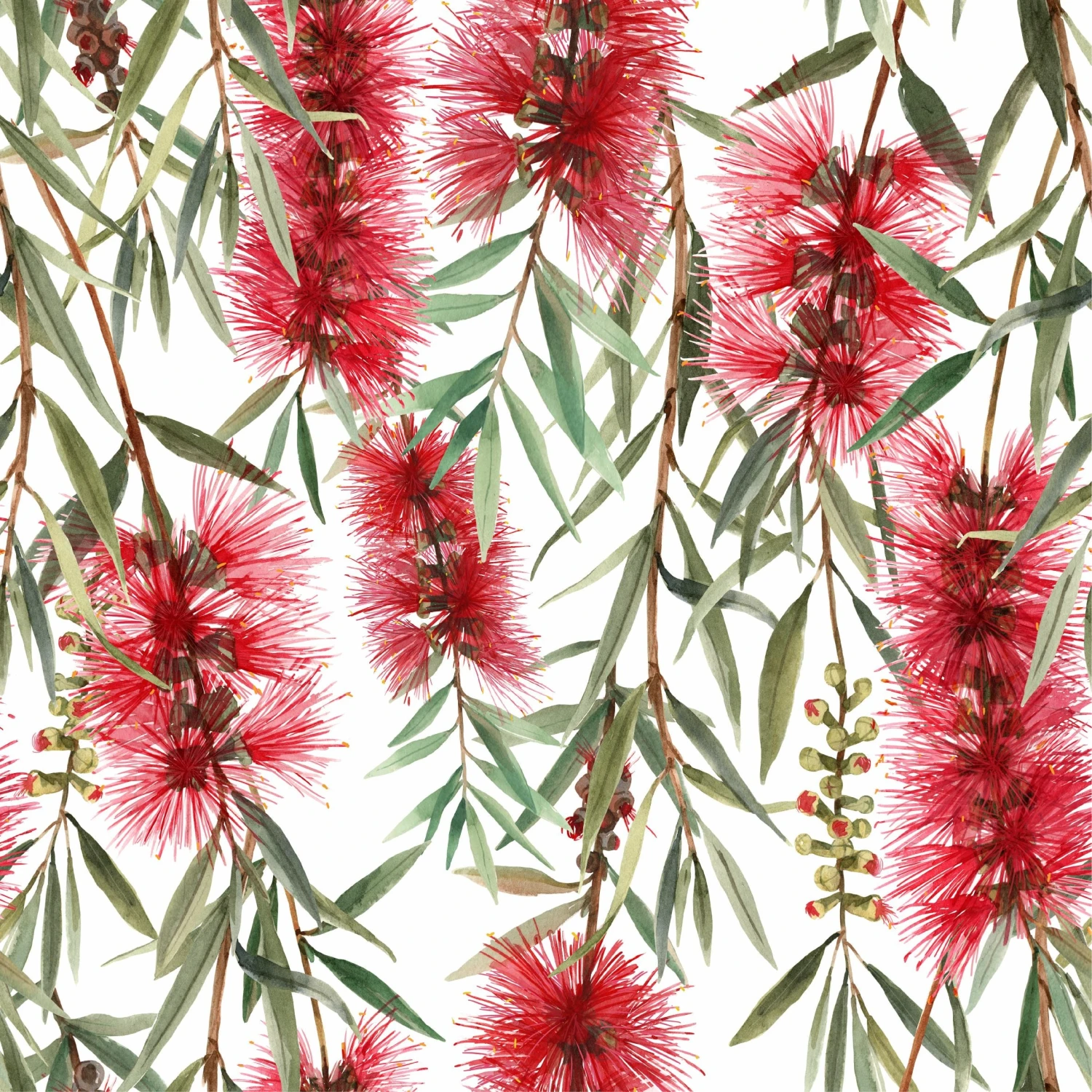 Red Bottlebrush Wallpaper - Image 3