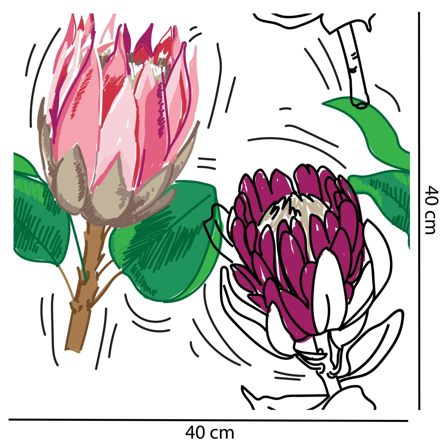 Bold Protea Flower Wallpaper - Image 2